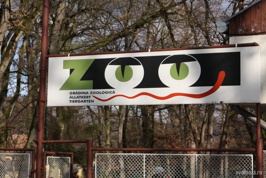 Gradina Zoologica Targu Mures | 2